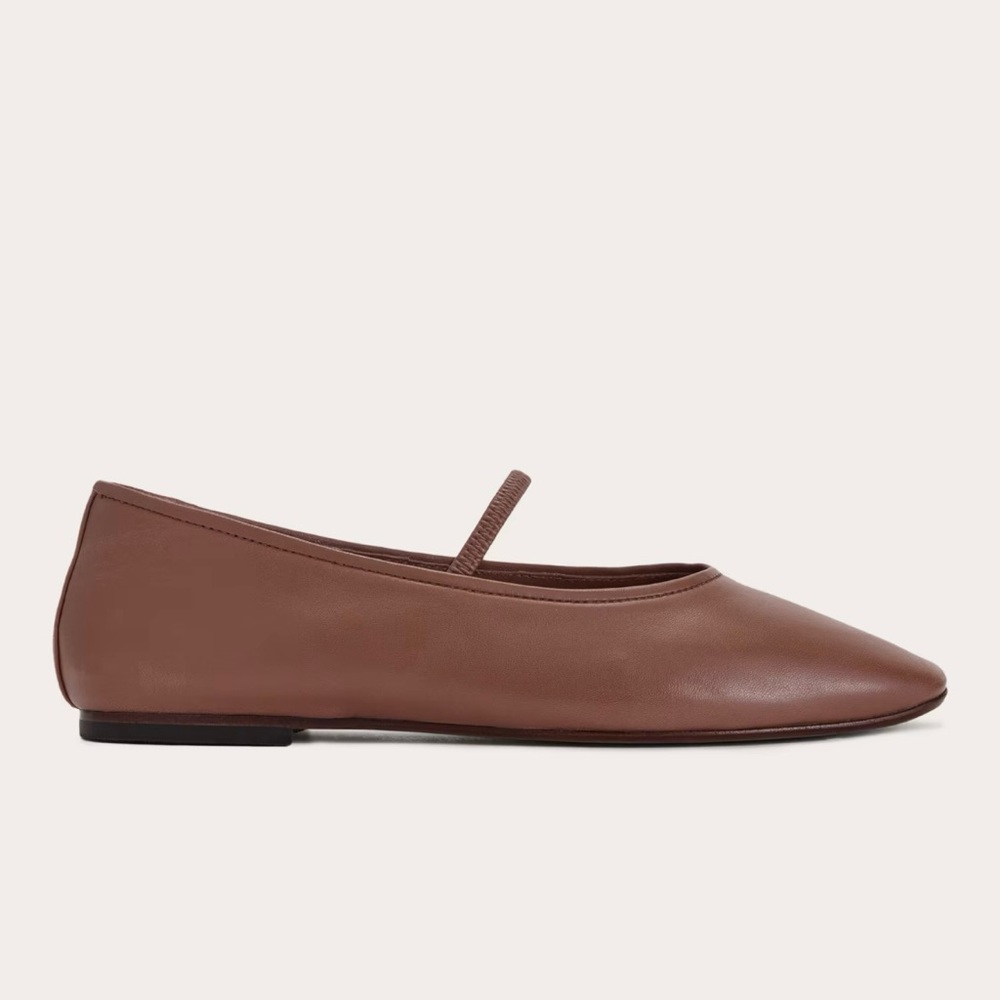 NEW Everlane Rum Brown Leather The Day Mary Jane Flat in Size 8